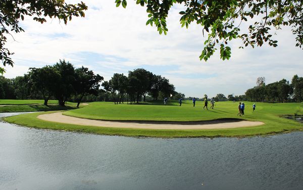 6 people grass golf course and nature