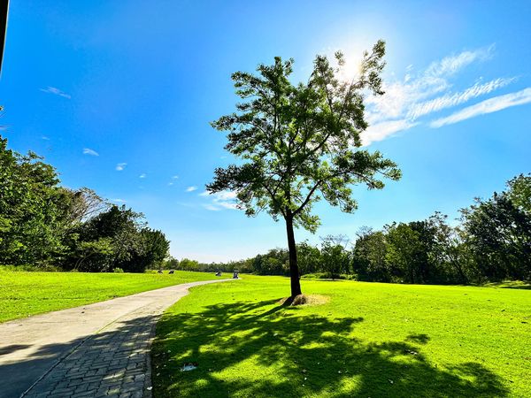 สนามกอล์ฟ กบินทร์บุรี สปอร์ตคลับ Kbsc nature tree grass and sky