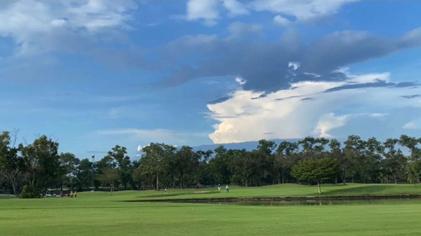 golf course grass and nature