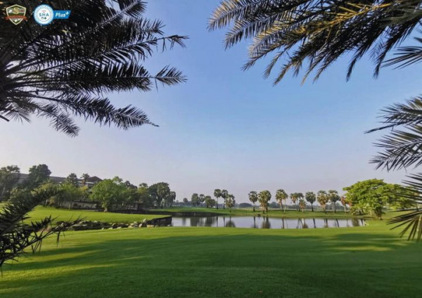 Suwan Golf amp Country Club golf course tree nature and grass