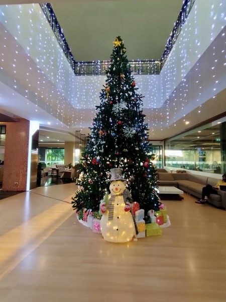 Krungthep Kreetha 1 person christmas tree and indoor