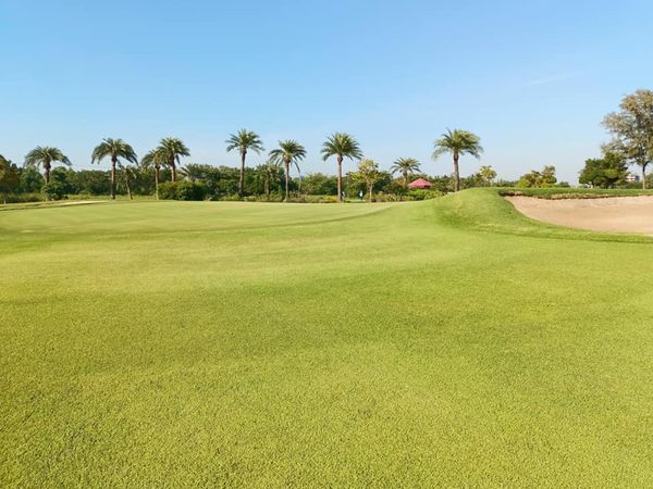 Bangpakong Riverside Country Club golf course grass and nature