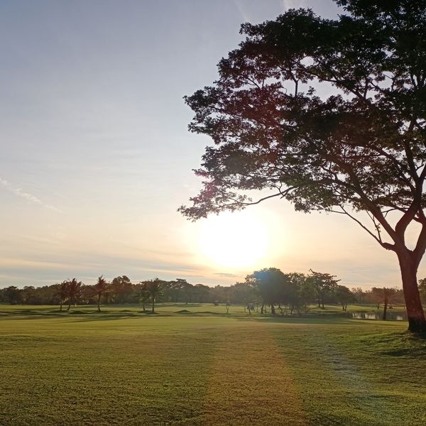 Bangpakong Riverside Country Club sky nature grass and tree