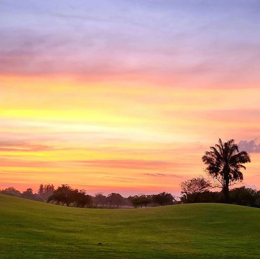 The Pine Golf Club