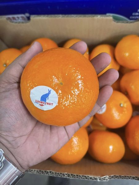 Krungthep Kreetha fruit