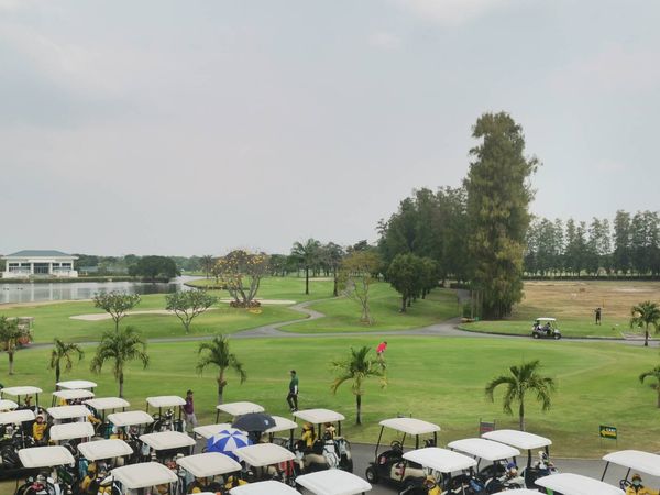 The Royal Golf amp Country Club 3 คน พื้นหญ้า และ สนามกอล์ฟ