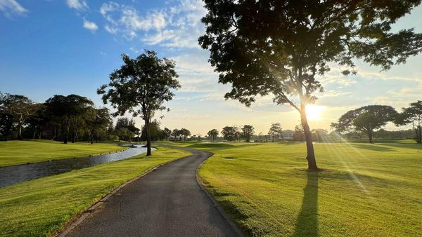 The Royal Golf amp Country Club ต้นไม้ พื้นหญ้า สนามกอล์ฟ และ ธรรมชาติ