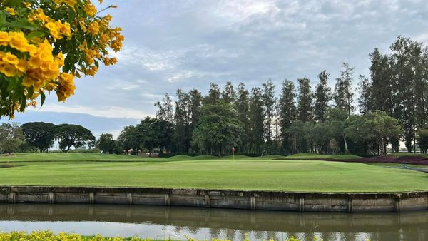 The Royal Golf amp Country Club พื้นหญ้า ธรรมชาติ และ สนามกอล์ฟ