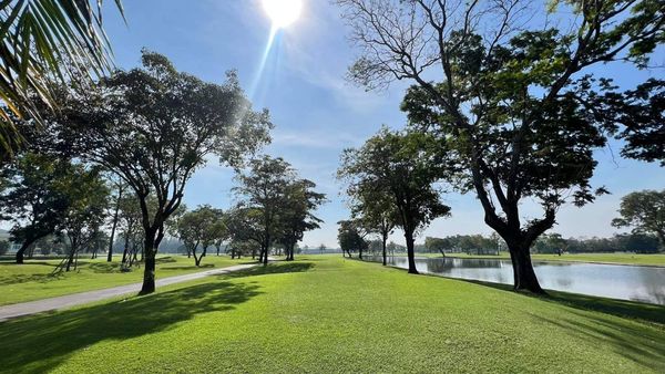 The Royal Golf amp Country Club grass nature sky and tree