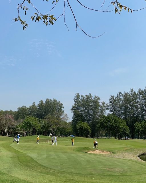 The Pine Golf Club 6 people people playing sports and grass