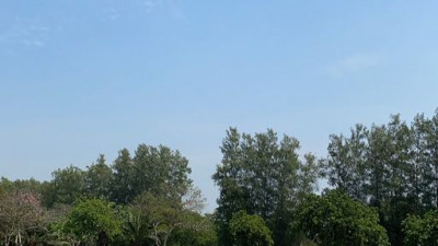 Enjoying afternoon at The Pine Golf Club :)