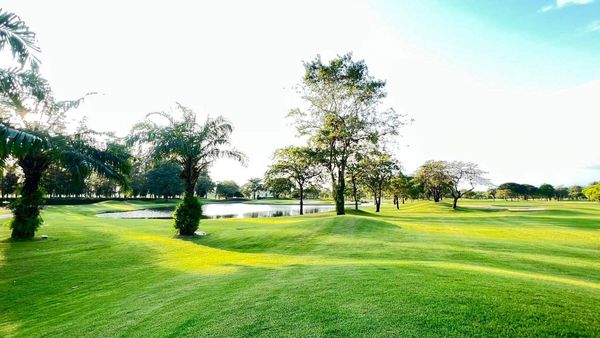The Royal Golf amp Country Club golf course nature tree and grass