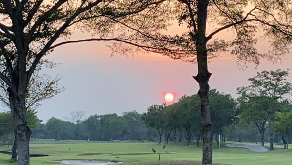 The Pine Golf Club grass tree nature sky and twilight