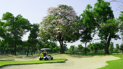 Golf at its finest