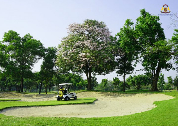 Bangkok Golf Club tree nature and ANGKOK GOLF CLUB