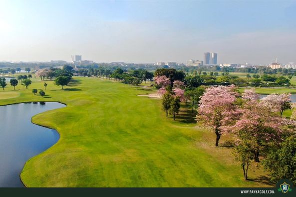 Panya Indra Golf Club 1 person tree nature sky and grass