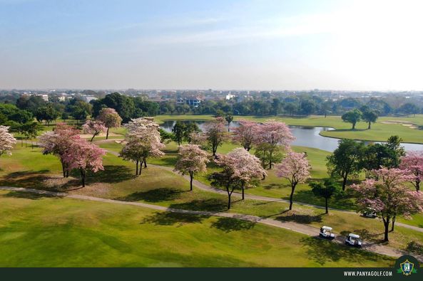 Panya Indra Golf Club nature tree and sky