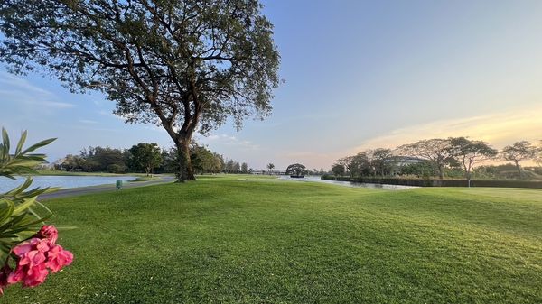 The Royal Golf amp Country Club grass nature golf course and tree