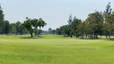 Green of hole 14 par 
