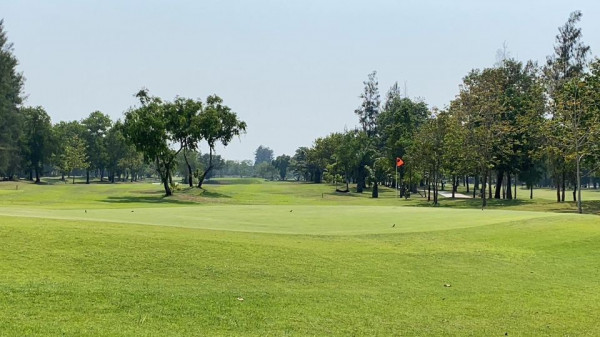 The Pine Golf Club nature grass and golf course
