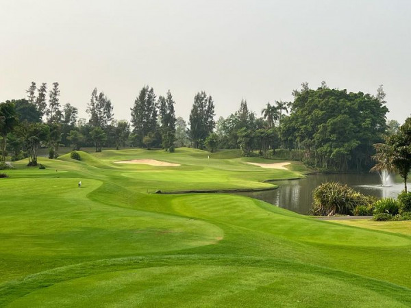 Alpine Golf Club golf course nature and grass