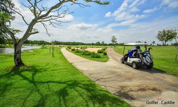 Bangpakong Riverside Country Club tree grass nature and golf course