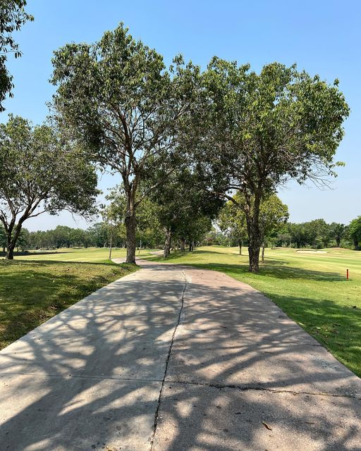 The Pine Golf Club tree nature and grass
