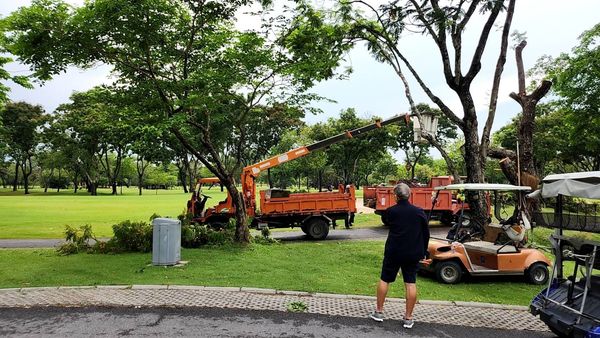 Krungthep Kreetha 2 people people golfing golf cart golf course and tree