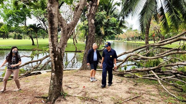 Krungthep Kreetha 3 people people golfing and tree