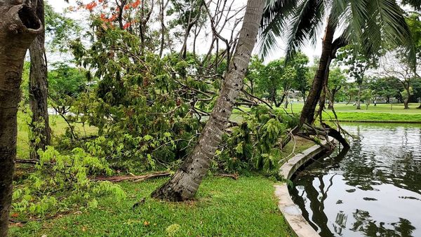 Krungthep Kreetha golf course grass tree and body of water