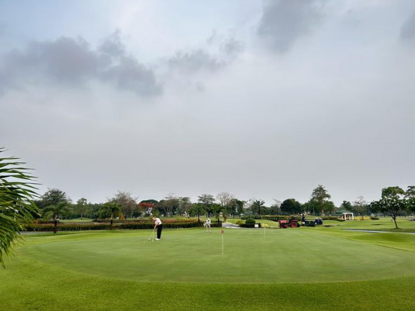 The Royal Golf amp Country Club 1 คน กำลังตีกอล์ฟ พื้นหญ้า และ สนามกอล์ฟ