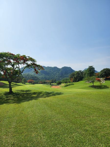 Bangpakong Riverside Country Club golf grass and golf course