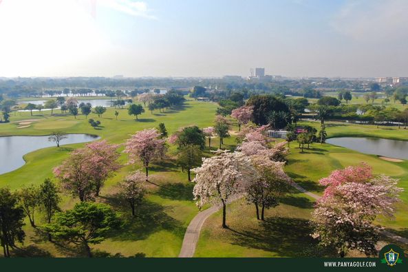 Panya Indra Golf Club golf jacaranda golf course and grass