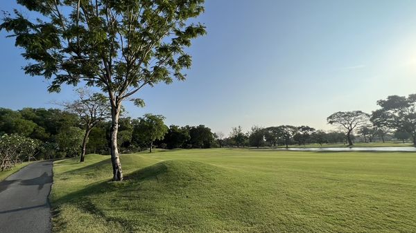 The Royal Golf amp Country Club golf course road and grass