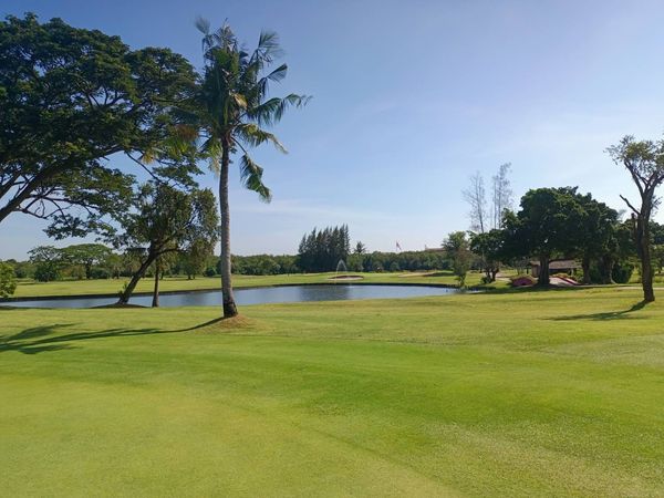 Bangpakong Riverside Country Club golf golf cart golf course and grass