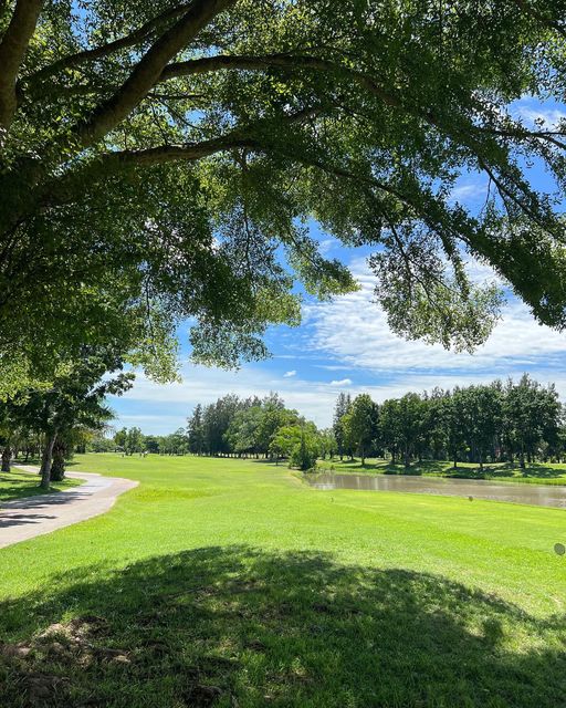 The Pine Golf Club grass tree and golf course
