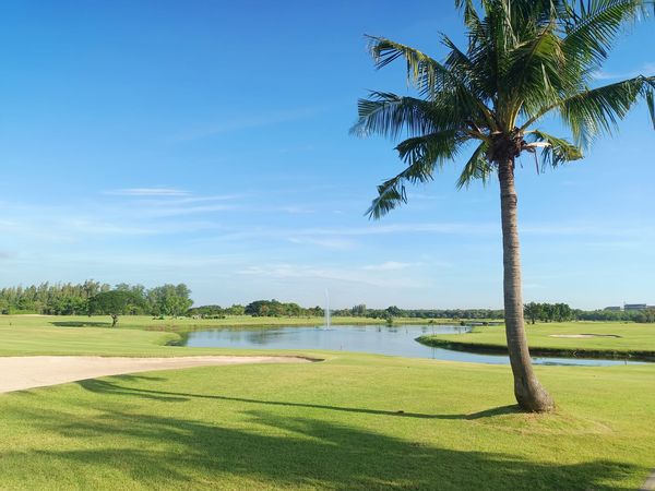 Bangpakong Riverside Country Club golf golf cart tree grass horizon and golf course