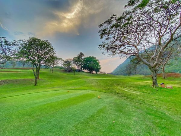 Bangpakong Riverside Country Club golf twilight golf course grass and nature