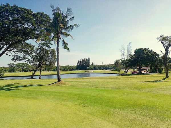 Bangpakong Riverside Country Club golf golf cart grass golf course and tree