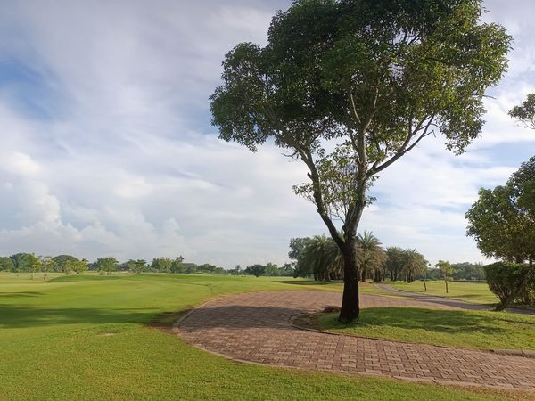 Bangpakong Riverside Country Club golf golf cart tree and golf course