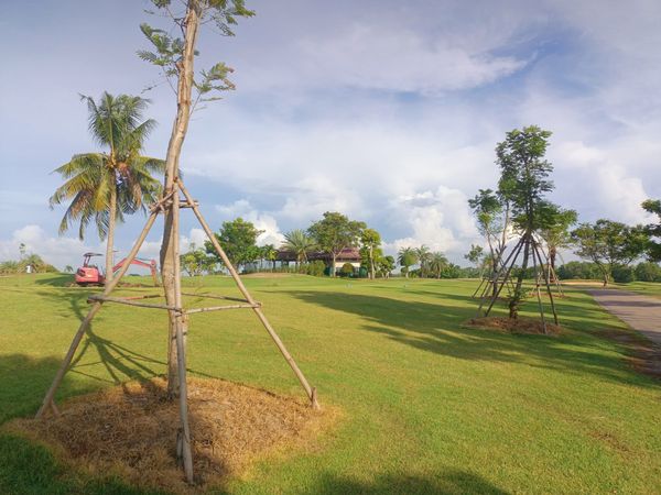 Bangpakong Riverside Country Club tree and grass