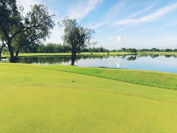 Bangpakong Riverside Country Club golf golf cart golf course and grass