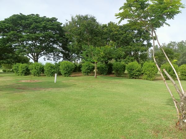 Bangpakong Riverside Country Club grass and tree