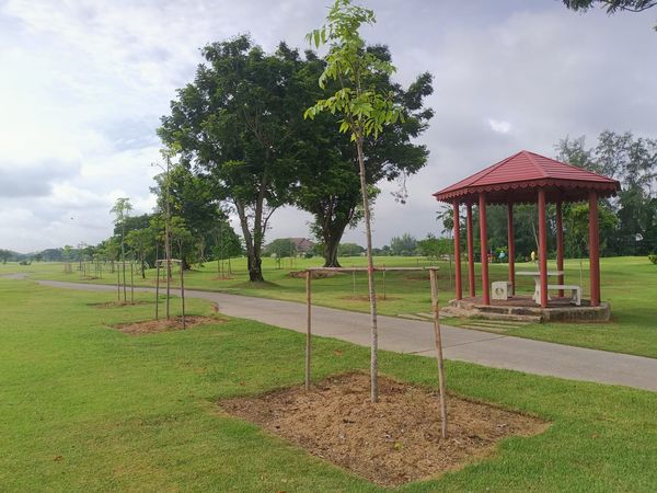 Bangpakong Riverside Country Club tree and grass-5