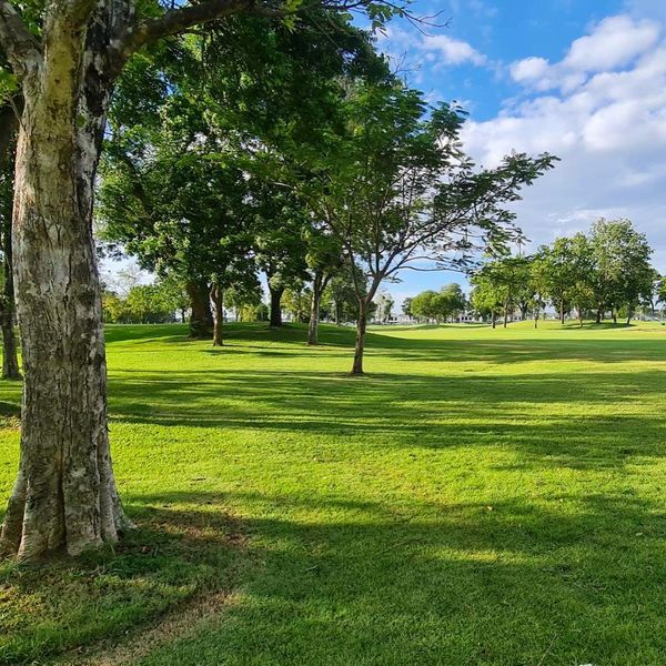Flora Ville Golf amp Country Club golf course nature tree and grass