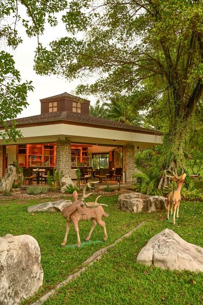 Summit Windmill Golf Club amp Residence deer