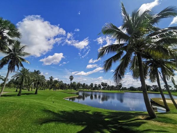 Suwan Golf amp Country Club golf horizon golf course and grass