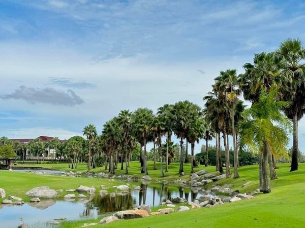Suwan Golf amp Country Club golf tree and golf course