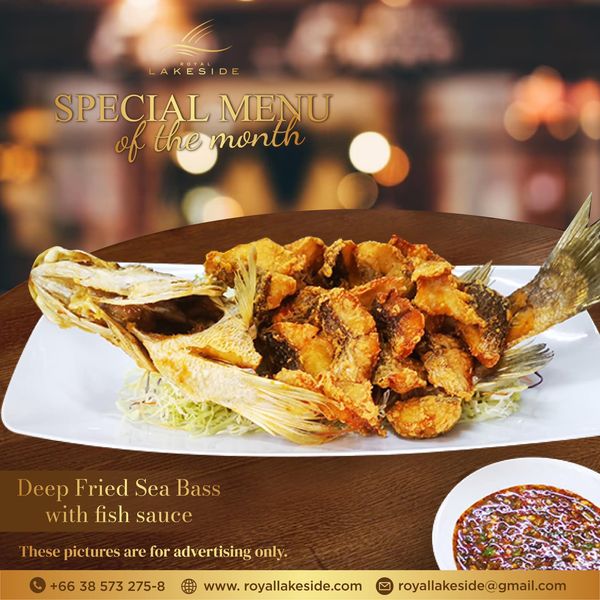 Royal Lakeside Golf Club LAKESIDE SPECIAL MENU of the month Deep Fried Sea Bass with fish sauce These are for adver advertising only 66 38 573 275 8 www royallakeside com royallakeside gmail com