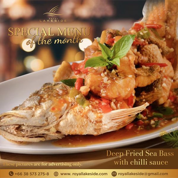 Royal Lakeside Golf Club LAKESIDE SPECIAL MENU of the montt rhese pictures are for advertising only 66 38 573 275 8 Deep Fried Sea Bass with chilli sauce ww royallakeside com royallakeside gmail com